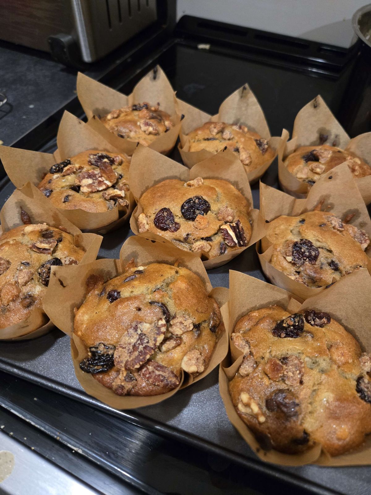 Freshly baked muffins with pecans and dried cherries in parchment wrappers